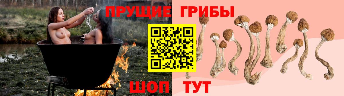 Псилоцибиновые грибы GOLDEN TEACHER  Вход с VPN  Галлюциногенные грибы Psilocybine cubensis  Муравленко 